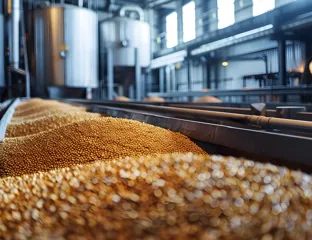 How to Increase Productivity in Feed Mills? 3 Strategic Machinery Investments